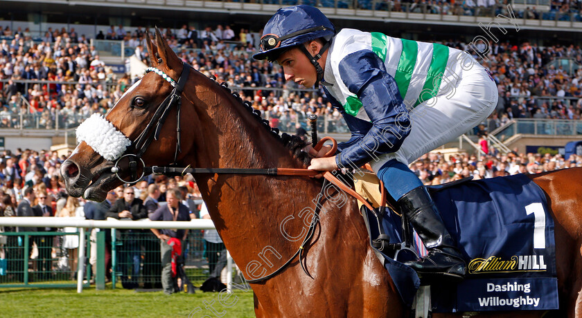 Dashing-Willoughby-0002 
 DASHING WILLOUGHBY (William Buick)
Doncaster 14 Sep 2019 - Pic Steven Cargill / Racingfotos.com