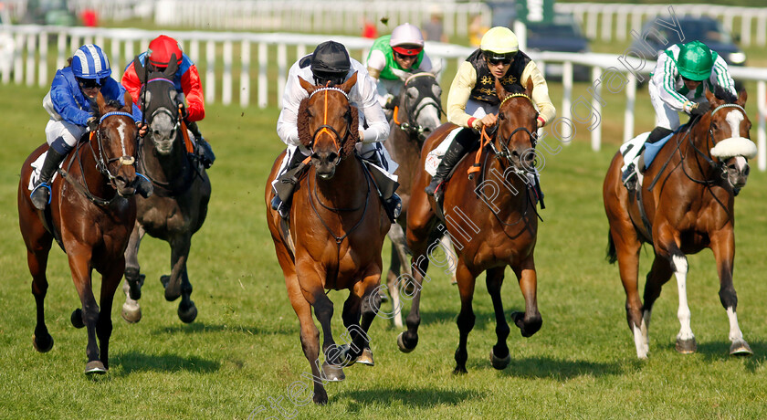 Tiffany-0005 
 TIFFANY (Luke Morris) wins The T. Von Zastrow Stutenpreis (Group 2)
Baden-Baden 31 Aug 2024 - Pic Steven Cargill / Racingfotos.com