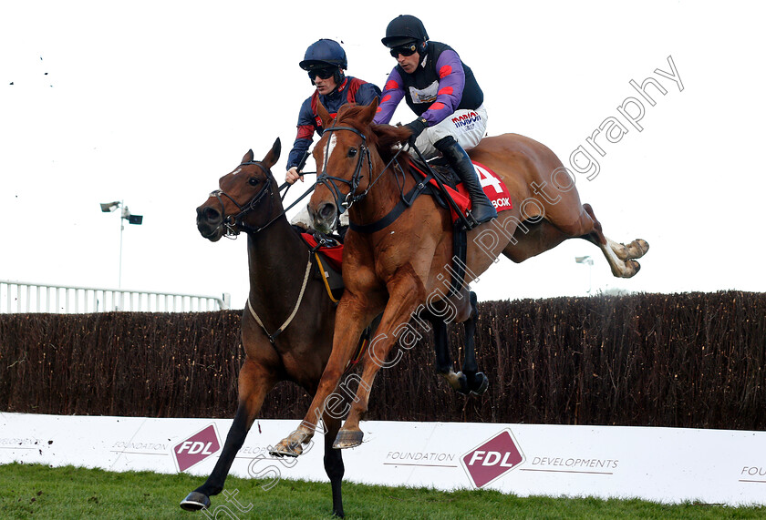 Shannon-Bridge-0001 
 SHANNON BRIDGE (right, Harry Skelton) jumps with ARCTIC GOLD (left)
Cheltenham 26 Oct 2018 - Pic Steven Cargill / Racingfotos.com