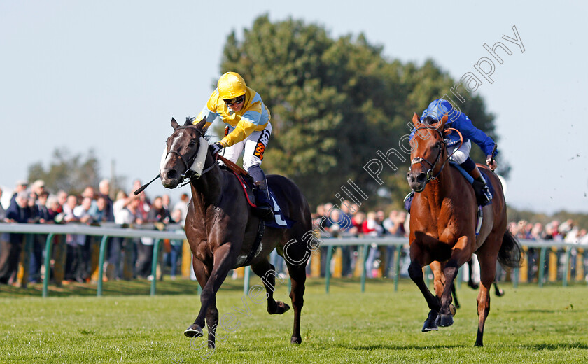 Zack-Mayo-0005 
 ZACK MAYO (left, Silvestre De Sousa) beats HIGH END (right) in The Dan Hague Yarmouth's Number 1 Bookmaker Handicap Yarmouth 19 Sep 2017 - Pic Steven Cargill / Racingfotos.com