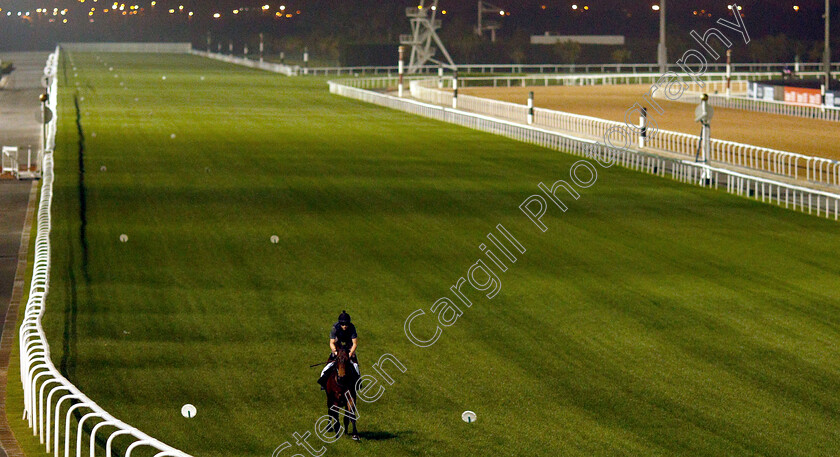 Sands-Of-Mali-0001 
 SANDS OF MALI training for the Al Quoz Sprint
Meydan 27 Mar 2019 - Pic Steven Cargill / Racingfotos.com