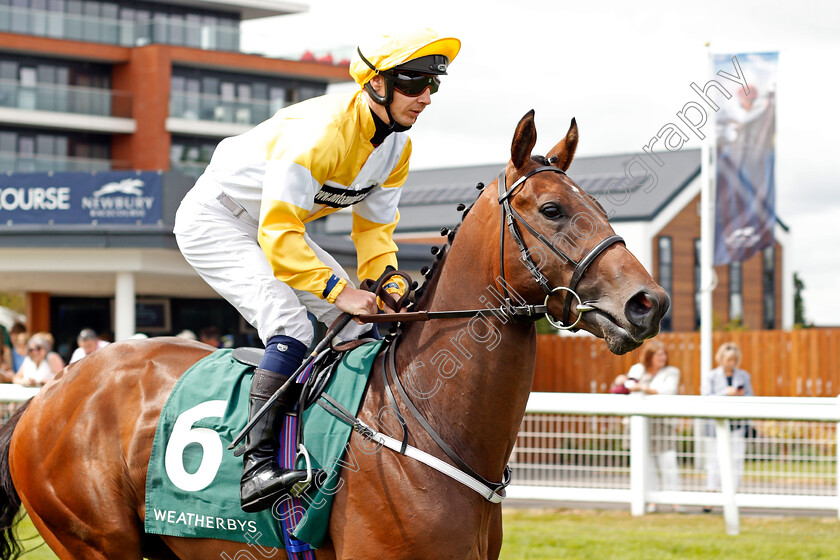 Show-Me-Show-Me-0001 
 SHOW ME SHOW ME (Paddy Mathers)
Newbury 20 Jul 2019 - Pic Steven Cargill / Racingfotos.com