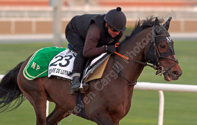 Square-De-Luynes-0004 
 SQUARE DE LUYNES exercising for trainer Niels Petersen
Meydan, Dubai, 3 Feb 2022 - Pic Steven Cargill / Racingfotos.com