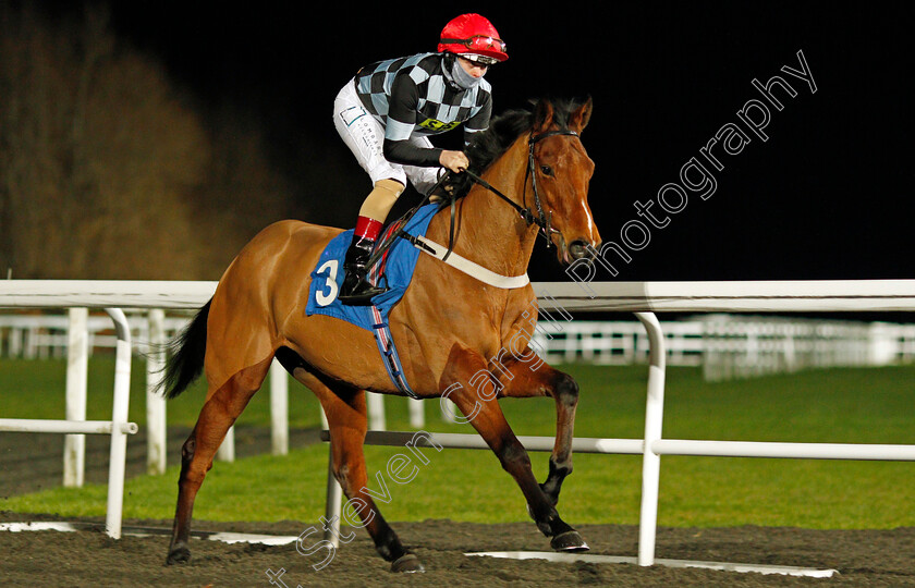 Rick-Blaine-0001 
 RICK BLAINE (Robbie Downey)
Kempton 3 Feb 2021 - Pic Steven Cargill / Racingfotos.com