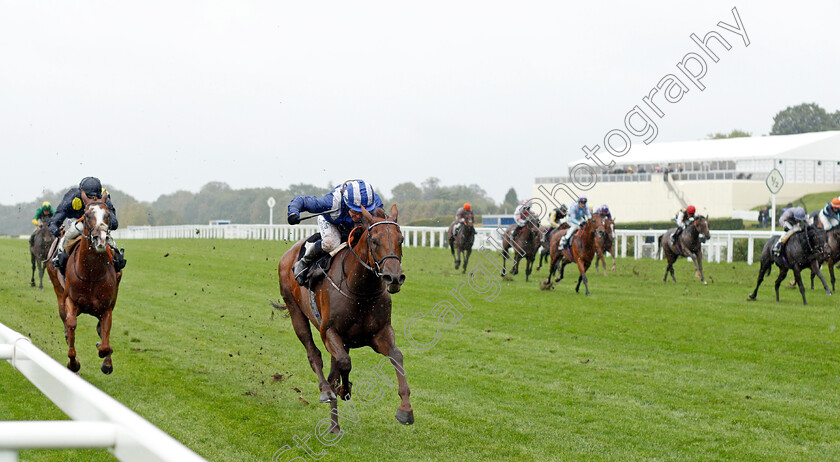 Aldaary-0001 
 ALDAARY (Jim Crowley) wins The Equine Productions The Fall Challenge Cup Handicap
Ascot 2 Oct 2021 - Pic Steven Cargill / Racingfotos.com