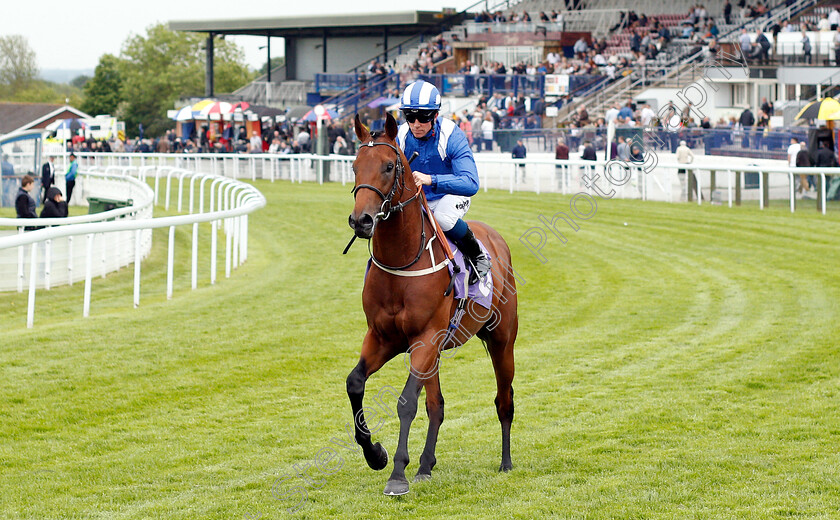 Maydanny-0001 
 MAYDANNY (Jim Crowley)
Beverley 29 May 2019 - Pic Steven Cargill / Racingfotos.com