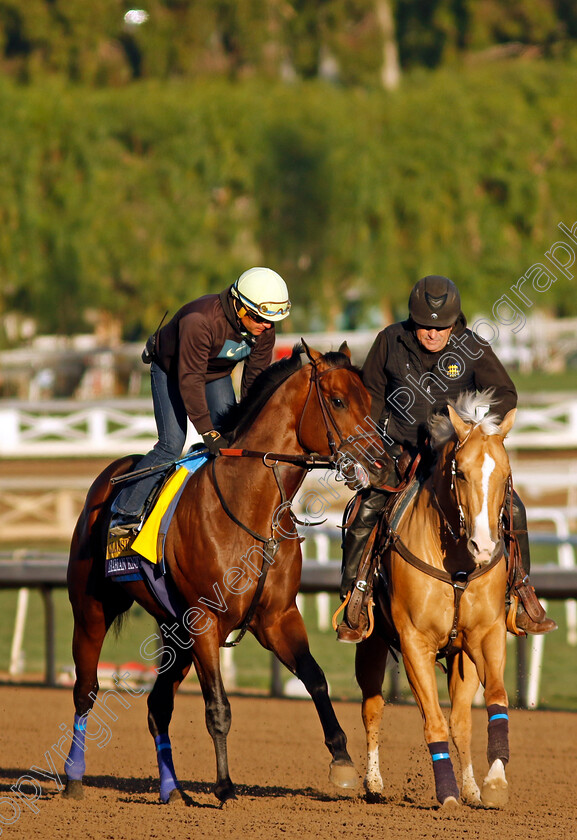 Arabian-Knight-0002 
 ARABIAN KNIGHT training for The Breeders' Cup Classic
Santa Anita USA, 30 Oct 2023 - Pic Steven Cargill / Racingfotos.com