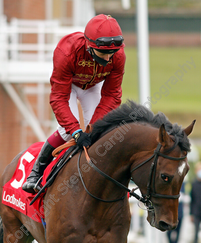 Fiji-0001 
 FIJI (Oisin Murphy)
Goodwood 30 Aug 2020 - Pic Steven Cargill / Racingfotos.com