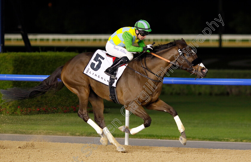 My-Dubawi-0002 
 MY DUBAWI (Tadhg O'Shea) wins The Lincoln Handicap
Meydan 2 Feb 2024 - Pic Steven Cargill / Racingfotos.com