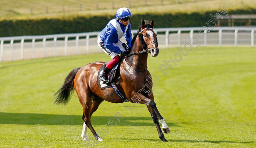 Harrovian-0001 
 HARROVIAN (Frankie Dettori)
Goodwood 22 Sep 2021 - Pic Steven Cargill / Racingfotos.com