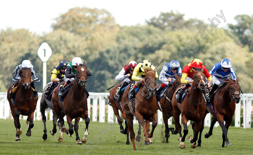 Prince-Eiji-0001 
 PRINCE EIJI (centre, Andrea Atzeni) beats RED ARMADA (2nd right) in The Charbonnel Et Walker British EBF Maiden Stakes
Ascot 7 Sep 2018 - Pic Steven Cargill / Racingfotos.com