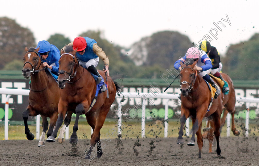 Dunamase-0007 
 DUNAMASE (James Doyle) beats MASUBI (left) and PRINCE OF THE SEAS (right) in The Unitbet British Stallion Studs EBF Novice Stakes
Kempton 28 Aug 2024 - Pic Steven Cargill / Racingfotos.com