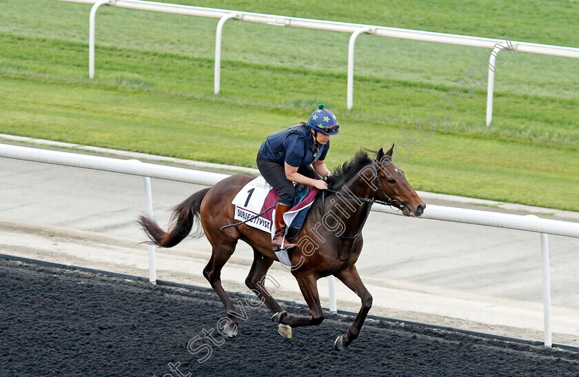 Subjectivist-0002 
 SUBJECTIVIST training for the Dubai Gold Cup
Meydan, Dubai, 21 Mar 2023 - Pic Steven Cargill / Racingfotos.com