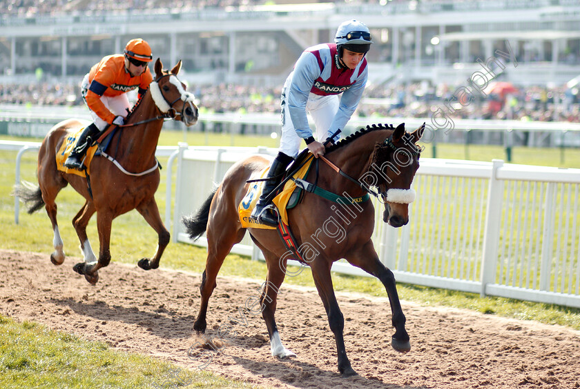 Nautical-Nitwit-0001 
 NAUTICAL NITWIT (Thomas Dawson)
Aintree 6 Apr 2019 - Pic Steven Cargill / Racingfotos.com