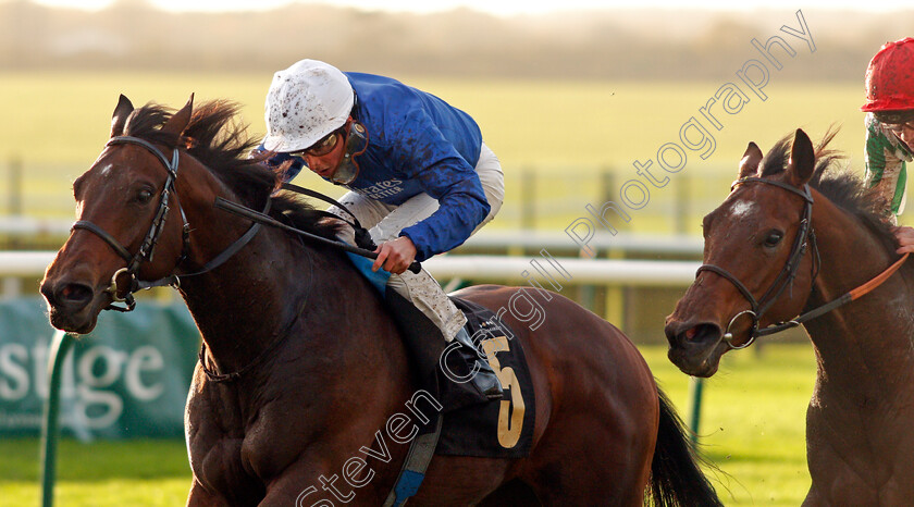 Zakouski-0008 
 ZAKOUSKI (William Buick) wins The Bet In-Play At Mansionbet Ben Marshall Stakes
Newmarket 31 Oct 2020 - Pic Steven Cargill / Racingfotos.com