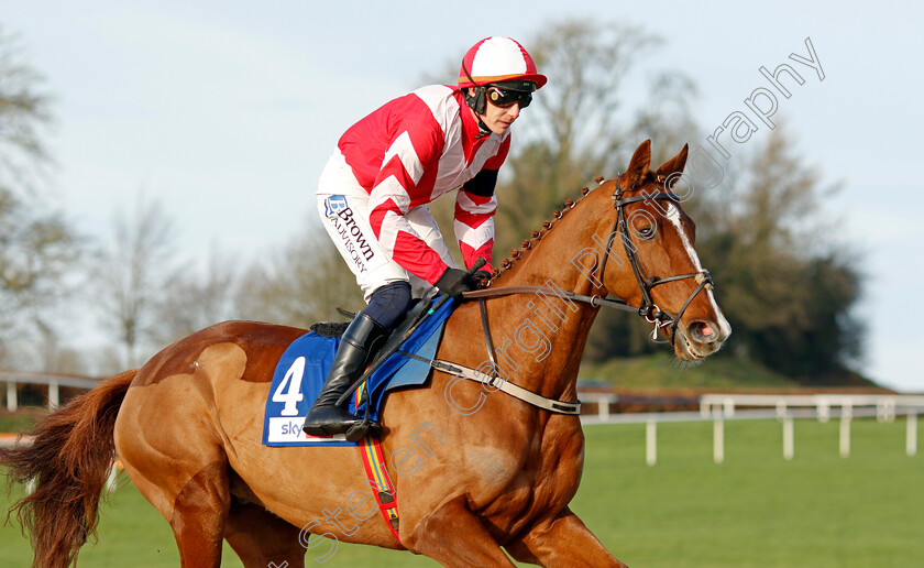 Lecky-Watson-0009 
 LECKY WATSON (Paul Townend) winner of The Sky Bet Novices Chase
Punchestown 12 Jan 2025 - Pic Steven Cargill / Racingfotos.com