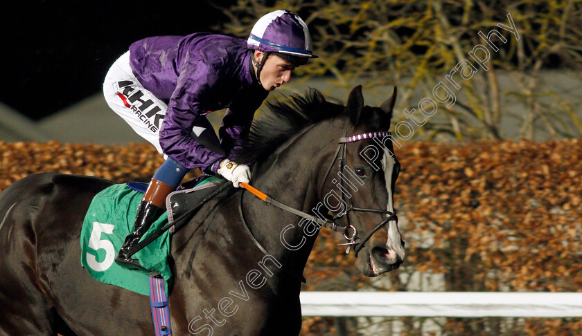 Kingmax-0001 
 KINGMAX (David Egan) winner of The Unibet Novice Stakes
Kempton 2 Mar 2022 - Pic Steven Cargill / Racingfotos.com