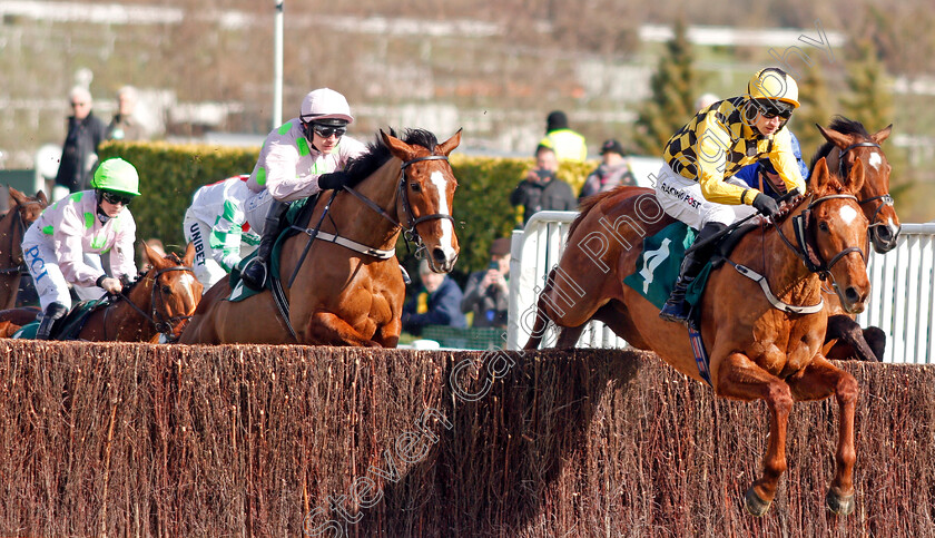 Melon-0001 
 MELON (Patrick Mullins)
Cheltenham 12 Mar 2020 - Pic Steven Cargill / Racingfotos.com