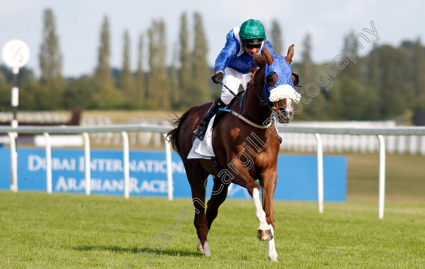 Thamaraat-0004 
 THAMARAAT (Tadhg O'Shea) wins The Dubai Developments Premier Handicap
Newbury 28 Jul 2019 - Pic Steven Cargill / Racingfotos.com