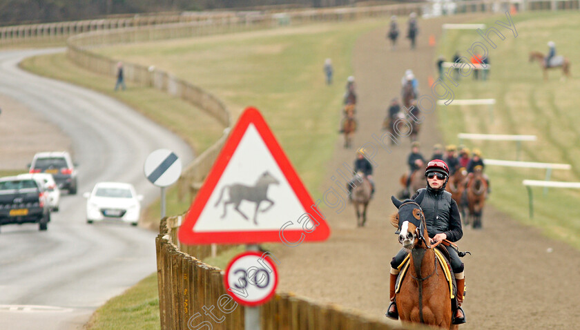 Newmarket-0015 
 Racehorses walk back to their stables after exercising on Warren Hill Newmarket 23 Mar 2018 - Pic Steven Cargill / Racingfotos.com