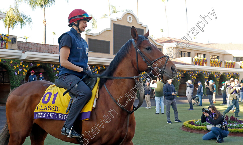 City-Of-Troy-0009 
 CITY OF TROY (Rachel Richardson) training for the Breeders' Cup Classic
Del Mar USA 31 Oct 2024 - Pic Steven Cargill / Racingfotos.com