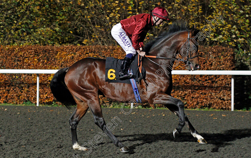 Mr-Owen-0001 
 MR OWEN (Oisin Murphy) Kempton 22 Nov 2017 - Pic Steven Cargill / Racingfotos.com