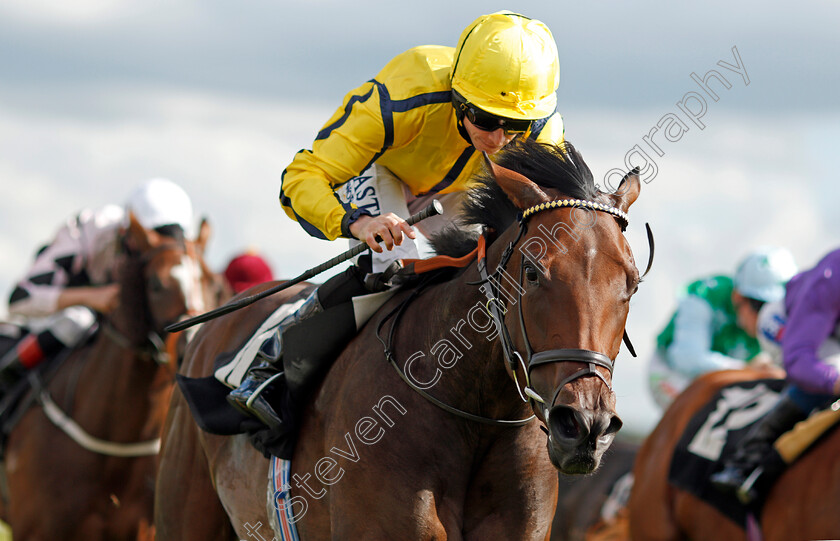 Beshaayir-0006 
 BESHAAYIR (Ryan Moore) wins The British Stallion Studs EBF Maiden Stakes Div2 Newbury 22 Sep 2017 - Pic Steven Cargill / Racingfotos.com