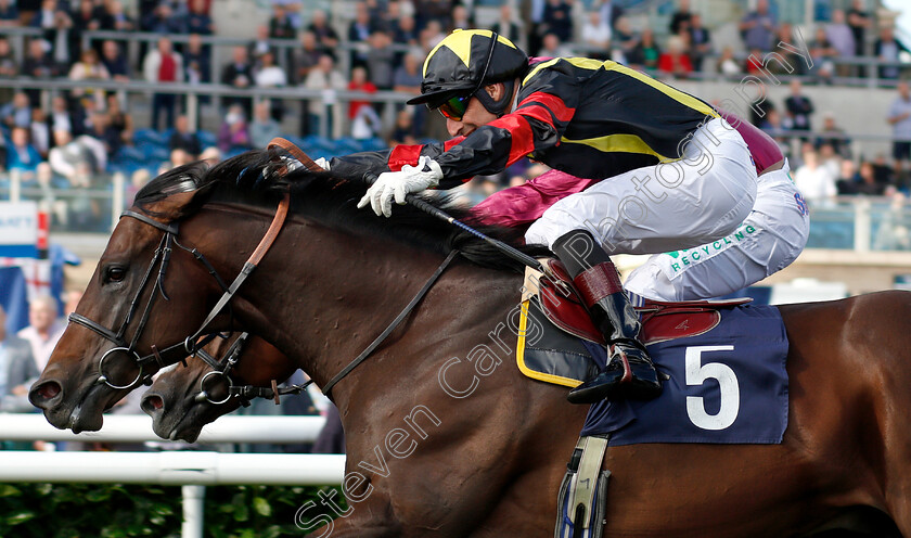 Global-Applause-0007 
 GLOBAL APPLAUSE (Gerald Mosse) wins The D C Training And Development Services Scarbrough Stakes
Doncaster 12 Sep 2018 - Pic Steven Cargill / Racingfotos.com