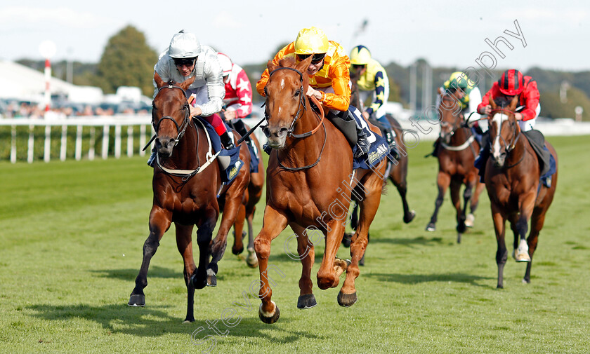 Sleeping-Lion-0006 
 SLEEPING LION (centre, Jamie Spencer) beats CHARLES KINGSLEY (left) in The William Hill Mallard Handicap
Doncaster 13 Sep 2019 - Pic Steven Cargill / Racingfotos.com