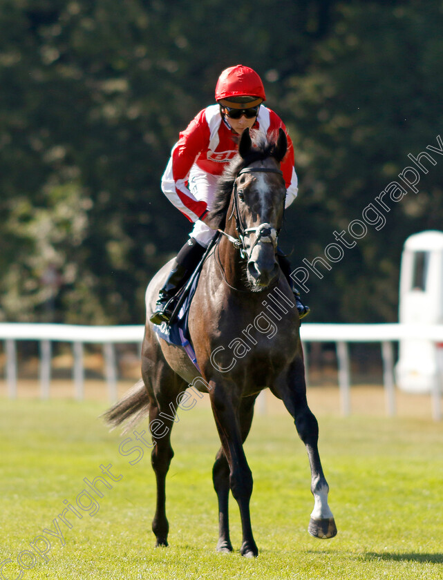 Berkshire-Shadow-0001 
 BERKSHIRE SHADOW (Jason Watson)
Salisbury 11 Aug 2022 - Pic Steven Cargill / Racingfotos.com