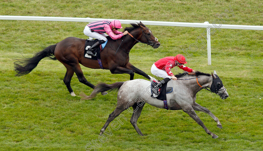 Red-Force-One-0004 
 RED FORCE ONE (Martin Harley) beats SWISS STORM in The Wellchild Handicap
Newbury 18 Aug 2018 - Pic Steven Cargill / Racingfotos.com