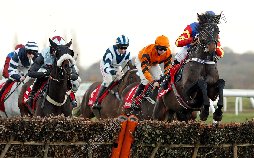 Vive-Le-Roi-0002 
 VIVE LE ROI (Harry Bannister) wins The Ladbrokes Handicap Hurdle
Newbury 30 Nov 2018 - Pic Steven Cargill / Racingfotos.com