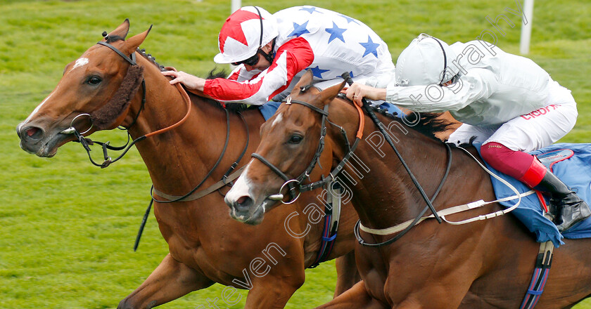 What s-The-Story-0005 
 WHAT'S THE STORY (left, Joe Fanning) beats VALE OF KENT (right) in The Clipper Logistics Handicap
York 22 Aug 2019 - Pic Steven Cargill / Racingfotos.com