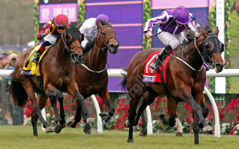 Mendelssohn-0006 
 MENDELSSOHN (Ryan Moore) wins The Breeders' Cup Juvenile Turf, Del Mar USA 3 Nov 2017 - Pic Steven Cargill / Racingfotos.com