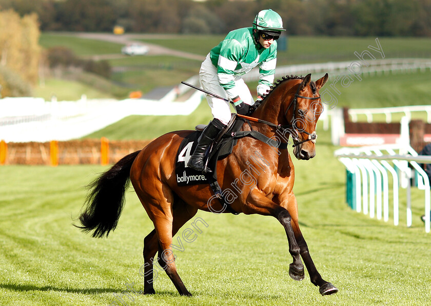 Net-De-Treve-0001 
 NET DE TREVE (Jonathan Burke)
Cheltenham 26 Oct 2018 - Pic Steven Cargill / Racingfotos.com