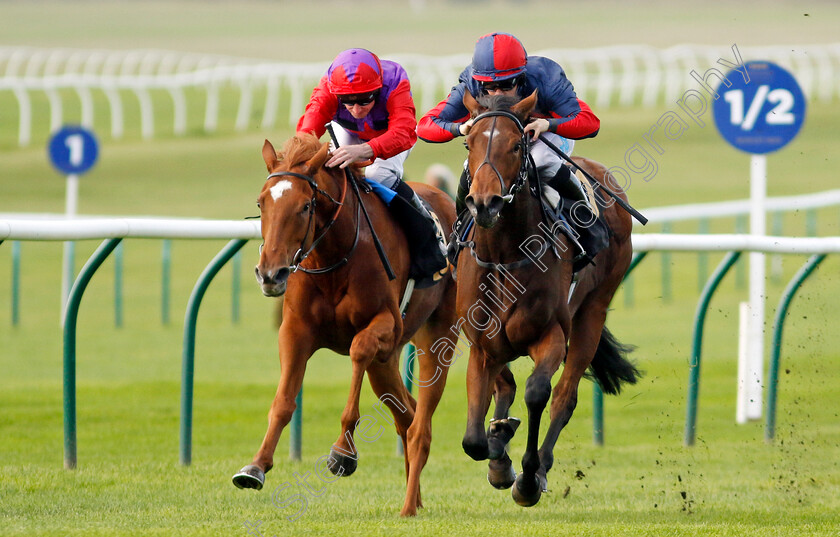 Misty-Sky-0006 
 MISTY SKY (right, Aidan Keeley) beats WITH ZEST (left) in The Prestige Vehicles Fillies Restricted Novice Stakes
Newmarket 23 Oct 2024 - Pic Steven Cargill / Racingfotos.com