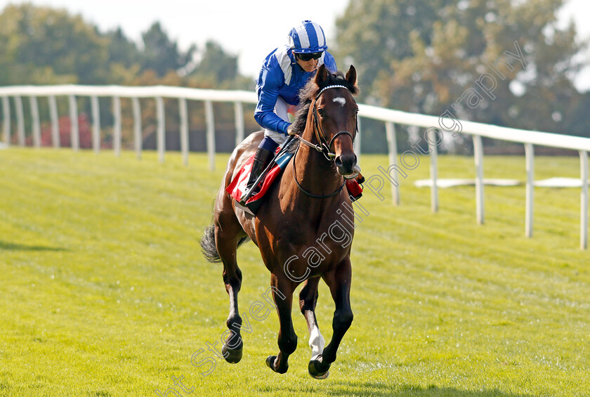 Zaajer-0001 
 ZAAJER (Jim Crowley) Sandown 1 Sep 2017 - Pic Steven Cargill / Racingfotos.com