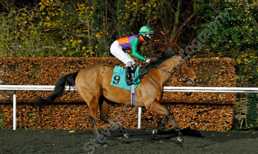 Equitation-0001 
 EQUITATION (George Rooke)
Kempton 2 Dec 2020 - Pic Steven Cargill / Racingfotos.com