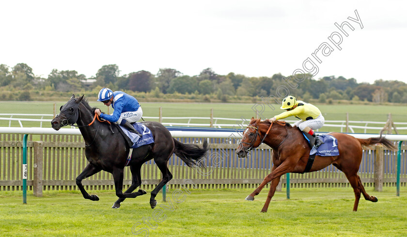 Mutasaabeq-0004 
 MUTASAABEQ (Jim Crowley) beats EL DRAMA (right) in The Al Basti Equiworld Dubai Joel Stakes
Newmarket 23 Sep 2022 - Pic Steven Cargill / Racingfotos.com