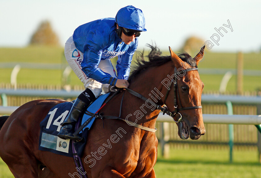 Lady-Hamilton-0003 
 LADY HAMILTON (P J McDonald)
Newmarket 20 Oct 2021 - Pic Steven Cargill / Racingfotos.com