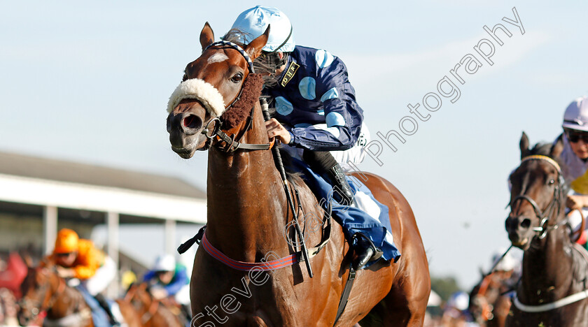 Que-Amoro-0006 
 QUE AMORO (Phil Dennis) wins The Sky Bet Apprentice Handicap
York 24 Aug 2019 - Pic Steven Cargill / Racingfotos.com