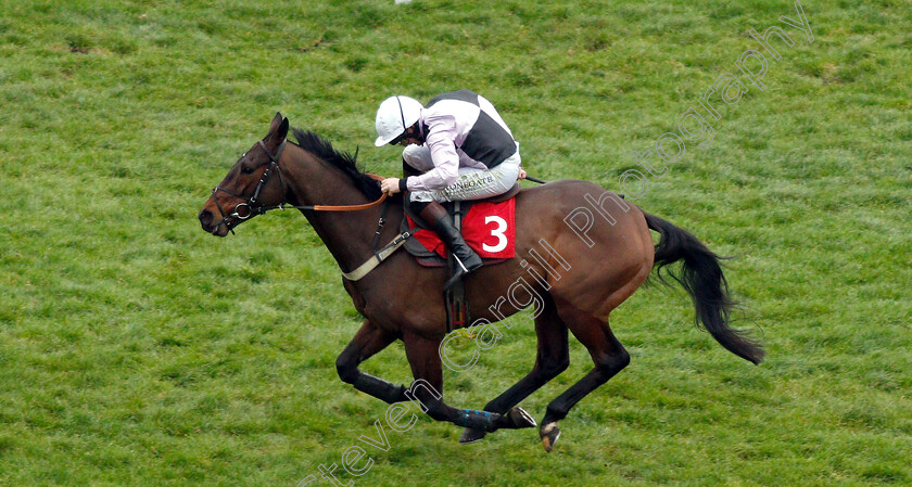 Larry-0002 
 LARRY (Jamie Moore) wins The 32Red Handicap Chase
Sandown 5 Jan 2019 - Pic Steven Cargill / Racingfotos.com