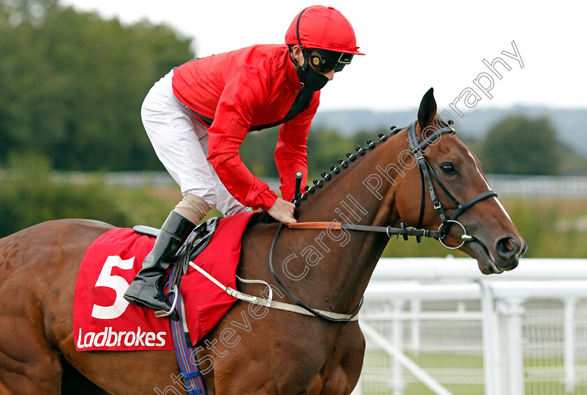 Margaret-Dumont-0001 
 MARGARET DUMONT (Joe Fanning)
Goodwood 30 Aug 2020 - Pic Steven Cargill / Racingfotos.com