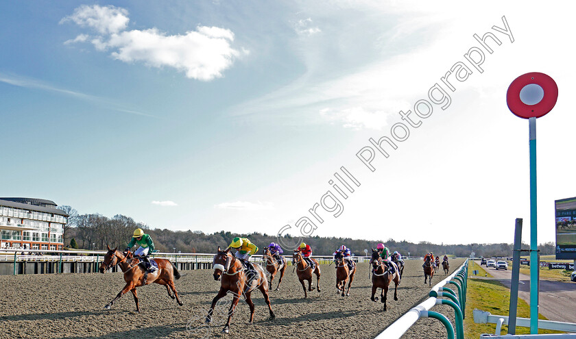 Master-Burbidge-0003 
 MASTER BURBIDGE (Jamie Spencer) wins The Betway Stayers Handicap Lingfield 16 Feb 2018 - Pic Steven Cargill / Racingfotos.com