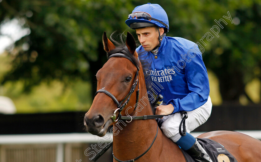 Dance-Sequence-0008 
 DANCE SEQUENCE (William Buick) winner of The Blandford Bloodstock Maiden Fillies Stakes
Newmarket 1 Jul 2023 - Pic Steven Cargill / Racingfotos.com