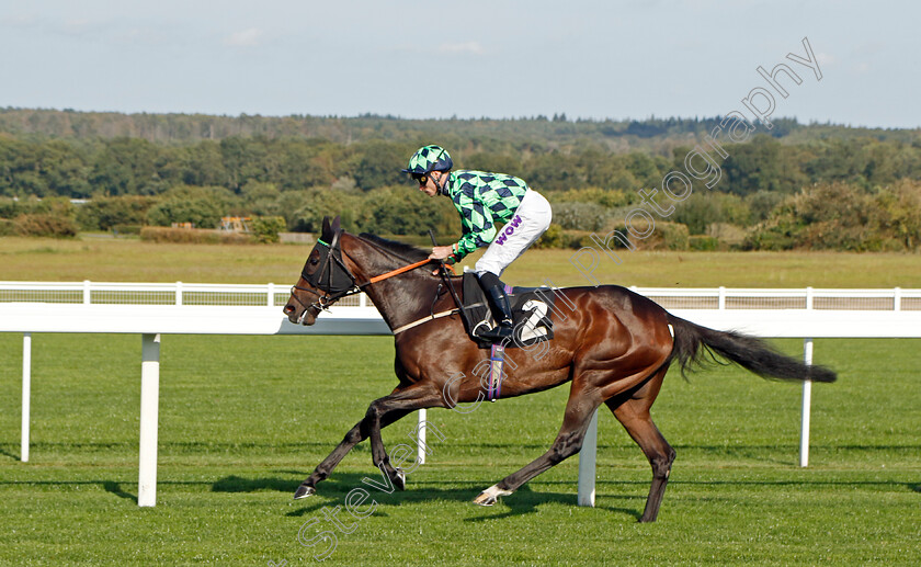 Juana-Ines-0001 
 JUANA INES (Kieran Shoemark)
Ascot 6 Oct 2023 - Pic Steven Cargill / Racingfotos.com