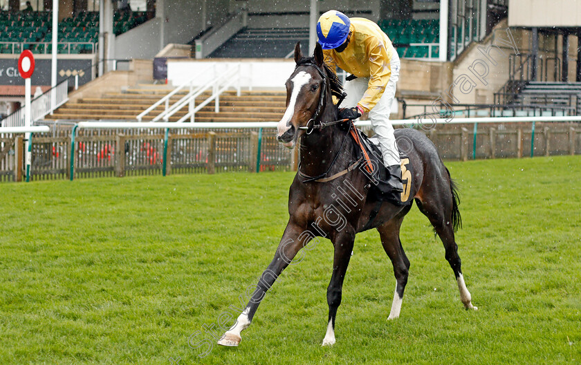 Jumping-For-Joy-0001 
 JUMPING FOR JOY (Hector Crouch)
Newmarket 31 Oct 2020 - Pic Steven Cargill / Racingfotos.com