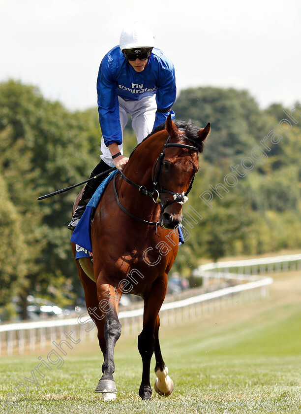 Dreamfield-0002 
 DREAMFIELD (James Doyle)
Newmarket 14 Jul 2018 - Pic Steven Cargill / Racingfotos.com