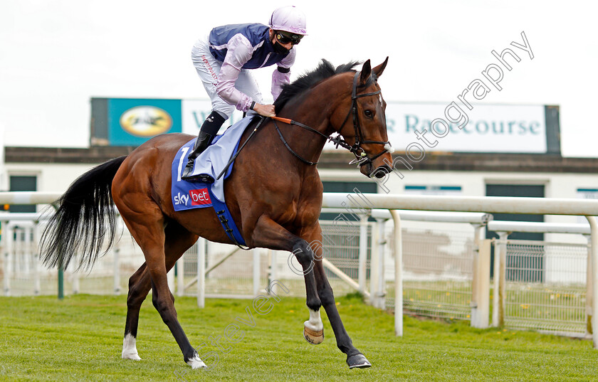 Luigi-Vampa-0003 
 LUIGI VAMPA (Jason Watson)
York 12 May 2021 - Pic Steven Cargill / Racingfotos.com