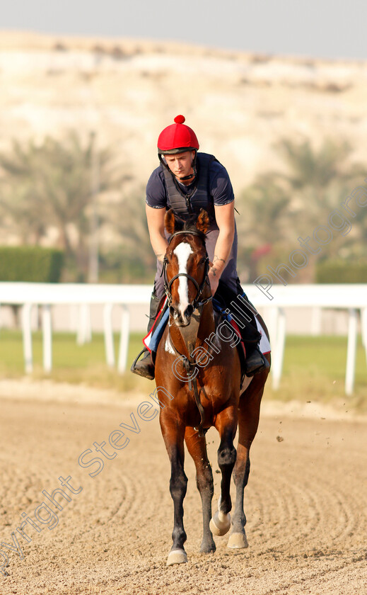 Cadillac-0003 
 CADILLAC exercising in preparation for Friday's Bahrain International Trophy
Sakhir Racecourse, Bahrain 16 Nov 2021 - Pic Steven Cargill / Racingfotos.com